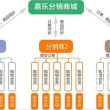 山东社动信息技术